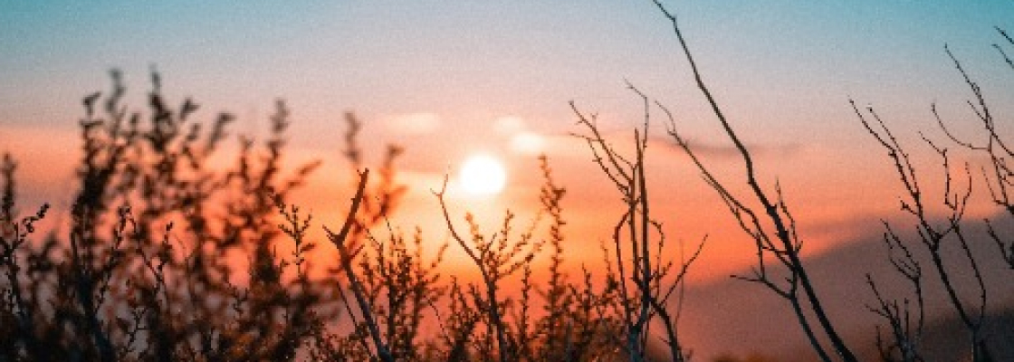 services-01 Services 01 3