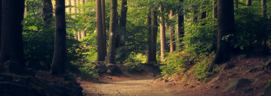 services-02 Services 02 3