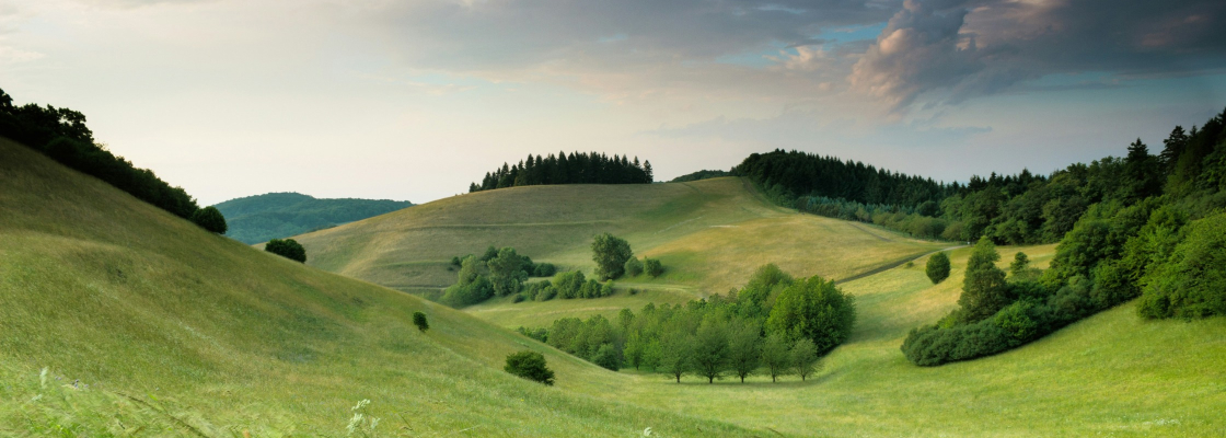 services-03 Services 03 3