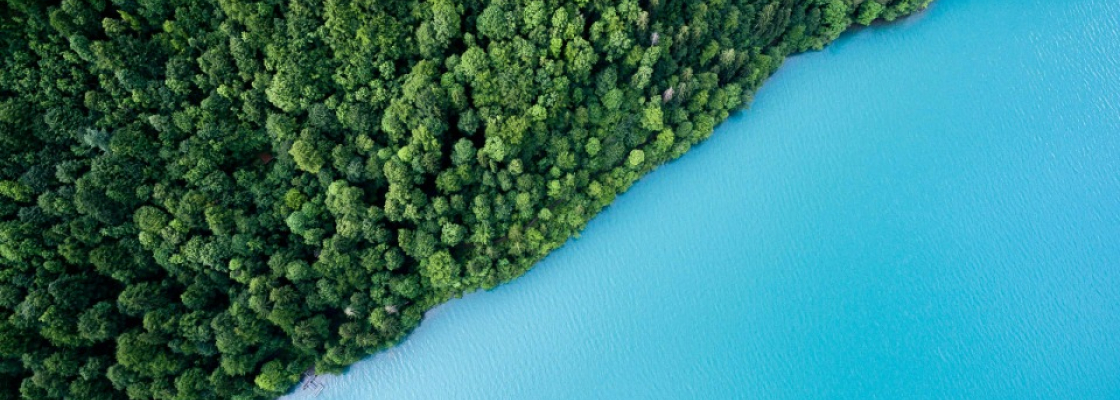 services-04 Services 04 3